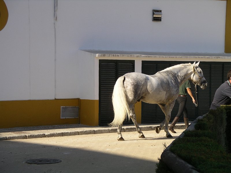 Spanje 2010 300.JPG